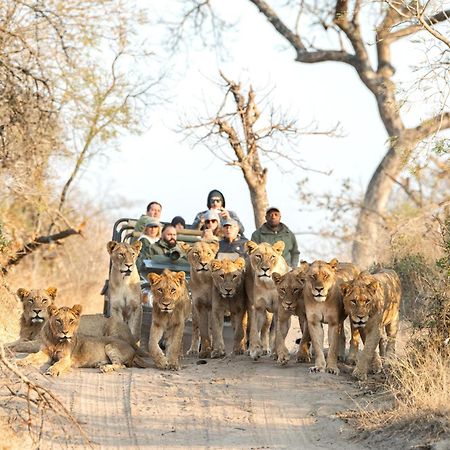 Royal Malewane Villa Thornybush Game Reserve Exterior photo